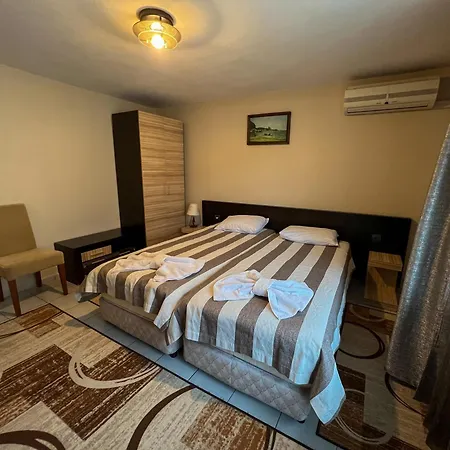 Alpha Family بلاغويفغراد